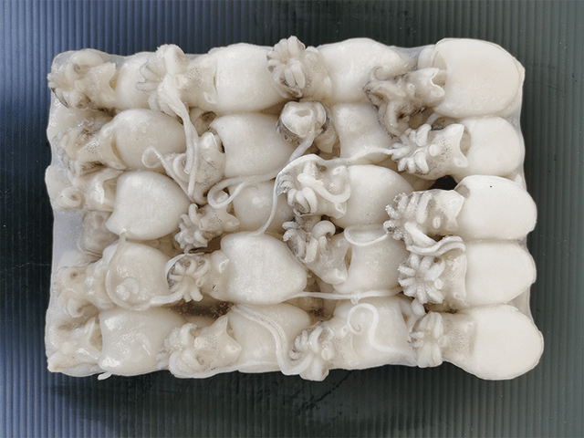 Hot price for frozen whole baby cuttlefish from Vietnam - Image 2