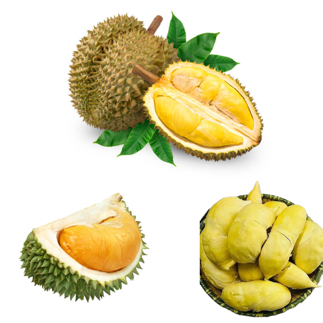 The Best Fresh Durian , Tropical Fruit, fresh durian fruit for sale Organic fruits, Durian Freeze Dried Fresh Durian Malaysia - Image 1