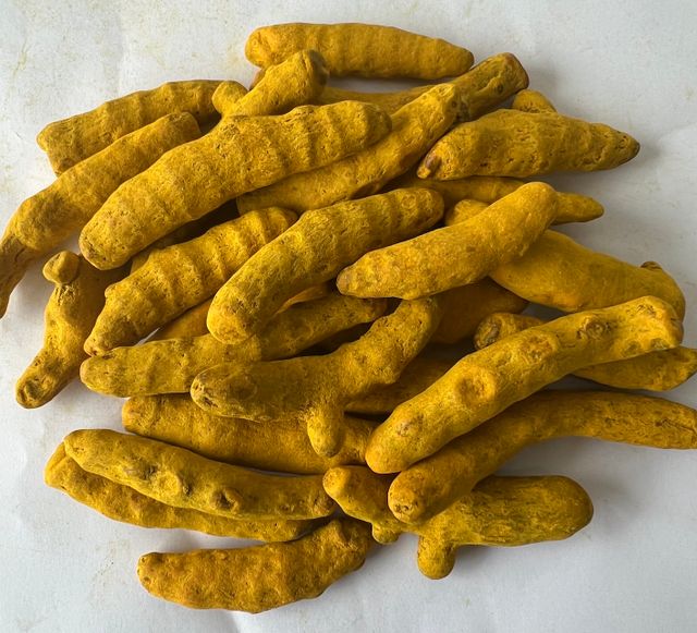 Finger Turmeric Organic fresh turmeric Premium High Quality From Vietnam The Best Price Wholesale - Image 4
