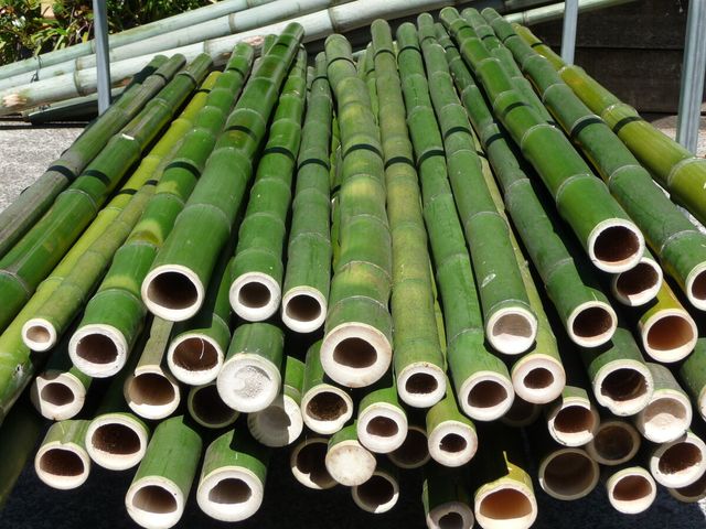 Wholesale Price Manufacturer Outdoor Decoration Big Natural Raw Bamboo Pole With High Quality - Image 3