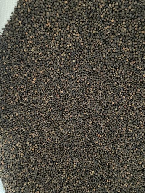 Best Quality k Pepper Factory Price Best Herbs and Spice Ingredient Pepper 580mc - Image 4