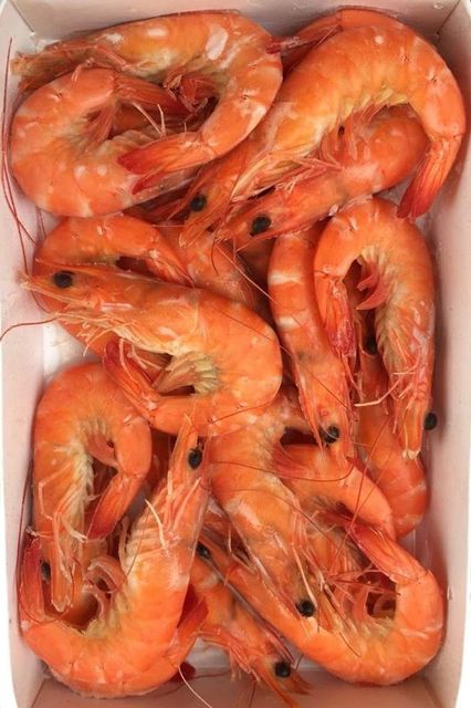 Best Price High Quality Frozen HOSO Vannamei Cooked Shrimp - Image 2