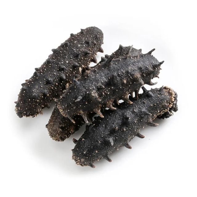 High quality sea cucumber price from manufacturer, dried sea cucumber rich nutrition wholesale - Image 6