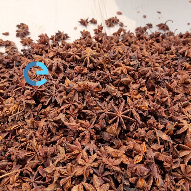 STAR ANISE SPRING VIETNAM ANISEED FACTORY PRICE HIGHLY RECOMMEND FOOD SEASONINGS PEPPER DESICCATED COCONUT - Image 5