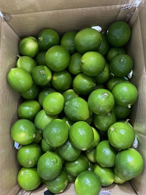 Vietnam fresh seedless lime Grade A Type LIME Style Fresh Color green Shelf Life 1 Content lime Weight (kg) 0.5 Ingredients - Image 3
