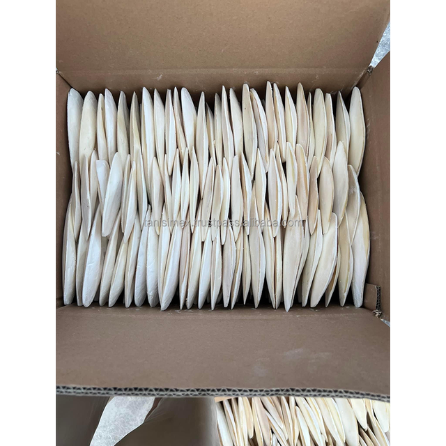 Dry Cuttlefish Bone's Source from factory with wholesale price High quality Cuttlefish bone dried A grade for birds - Image 5