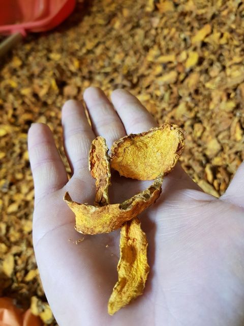 Sliced Dried Turmeric Organic fresh turmeric Premium High Quality From Vietnam The Best Price Wholesale - Image 3