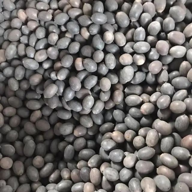 Vietnam dried lotus seeds cleaned grade cheapest prices Shelf Life 2 Model Number 01 Address Vietnam Content lotus seed Ingredients lotus - Image 1