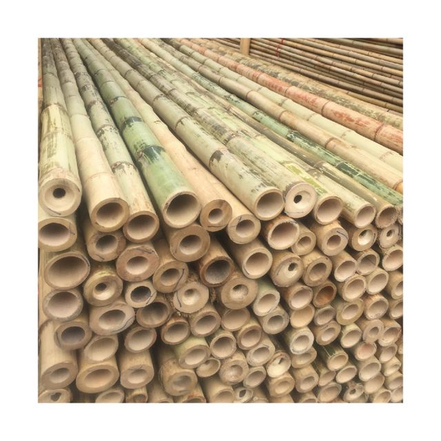 Wholesale Price Manufacturer Outdoor Decoration Big Natural Raw Bamboo Pole With High Quality - Image 1