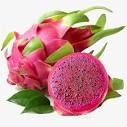 Hot Item Of Dragon Fresh Fruit Tropical Fruit Dried Dragon Fruit Frozen Pitaya Organic from VietNam Manufacture - Image 5