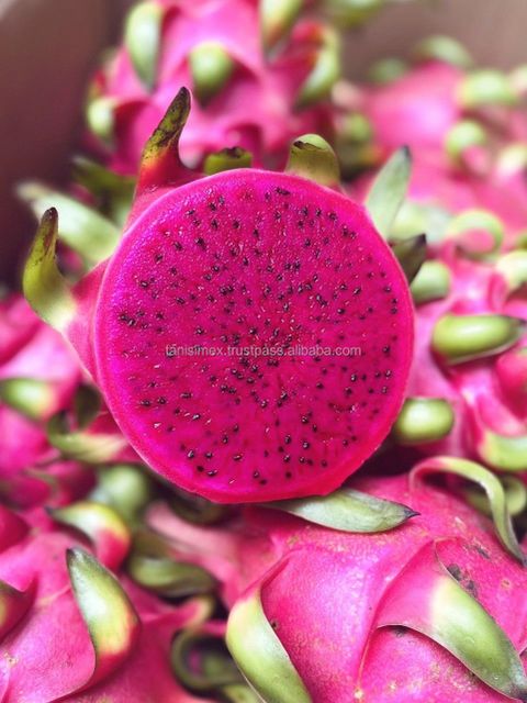White Dragon Fruit Cheap Price Fresh White Dragon Fruit from Vietnam - Image 5