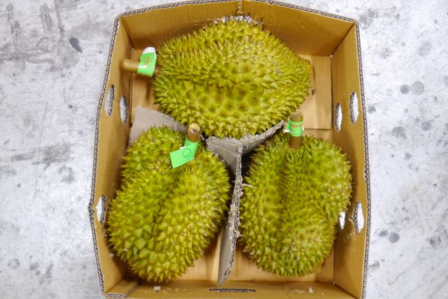 Wholesale Sweet savory and creamy taste strong smell Brix 20% Ri 6 Monthong Fresh Durian From Vietnam - Image 3