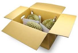 The Best Fresh Durian , Tropical Fruit, fresh durian fruit for sale Organic fruits, Durian freeze dried organic dry fruits - Image 4