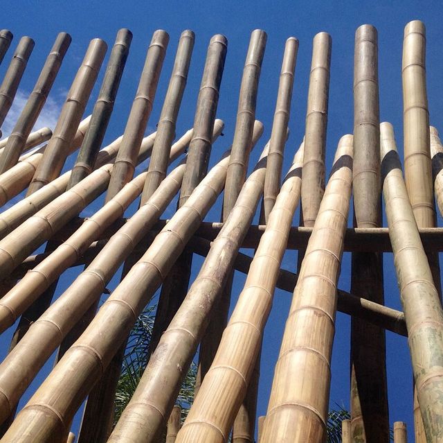 Top Quality Natural Materials Manufacturer Construction Moso Bamboo Pole Decoration - Image 3