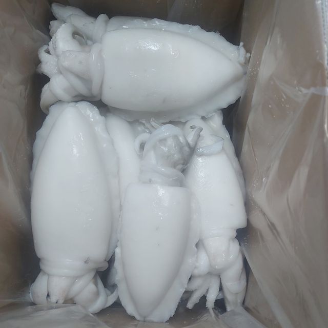 Hot sale frozen baby cuttlefish from Vietnam for sales - Image 3