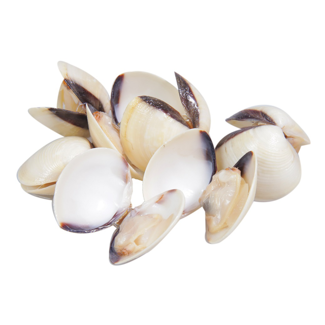 EU STANDARD FROZEN WHITE AND YELLOW CLAMS - BEST PRICE ORIGIN VIETNAM - Image 3