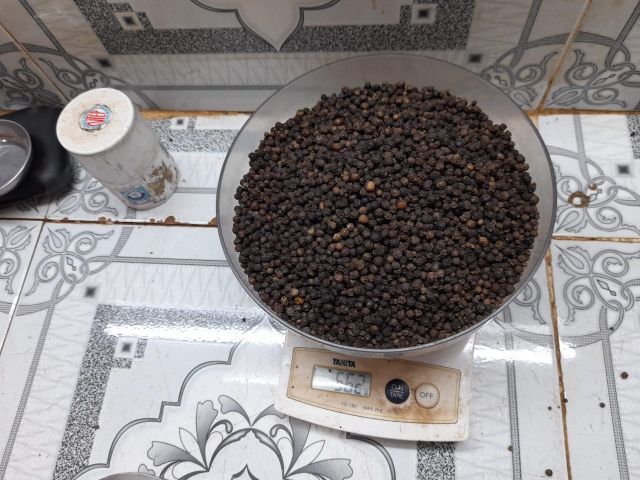 High Quality Black pepper FAQ Wholesale Spice Dried Black Pepper Vietnam Pepper Quality Natural - Image 5