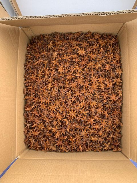 Wholesale Low Price Star Anise Best Quality Star Aniseed Dried Star Anise Spices for Tea Cooking Decoration - Image 5