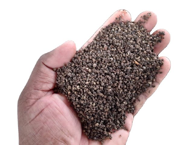 Black Pepper 500gl faq Spices Mixed Yellow Bag Top Vietnam Hot Style Packing Food Cooking Spice Herbs Weight Form Pepper Powde - Image 5