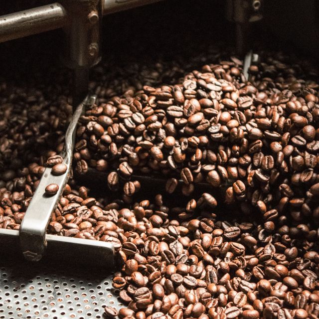 Premium Quality Roasted Arabica Coffee Beans Wholesale Organic Green Premium Grade 60 Kg 18 COMMON Cultivation - Image 4