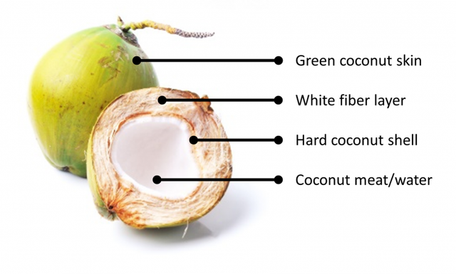 Fresh young coconut Brix 7 - 9 high quality origin Ben Tre Viet Nam export products 100% natural sweet coconut - Image 4