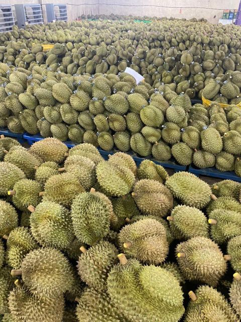 Wholesaler Fresh Durian Monthong , Durian Frozen, Fresh Fruit Organic Packed In Box Vietnam Manufacturer - Image 5