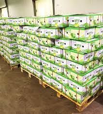 Special Item Lime Without Seed, Lime Organic, Lime Fruit, Limon ,Fresh fruit, Seedless Fruit - Image 3
