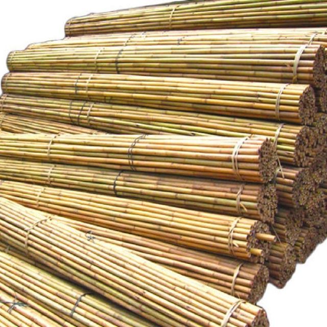 Vietnamese bamboo poles wholesale price - Raw Bamboo Poles for Gardening and Decoration - Bamboo Pole 100% Natural - Image 5