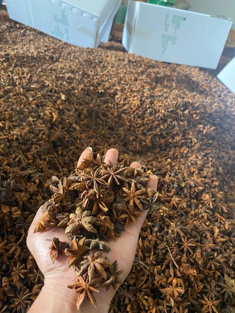 Spring Anise Factory Price Wholesale Broken Star Anise Best Quality Star Anise For Cooking Made In Vietnam - Image 6