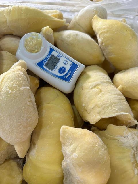 Wholesaler Fresh Durian Monthong, Fresh durians , Fresh Fruit For Sale Organic Packed In Box Vietnam Manufacturer - Image 5