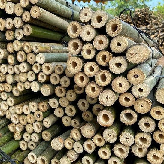 Construction Building Decoration Bamboo Canes Bamboo Poles For Garden/Roof/House - Image 5