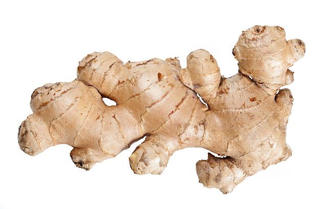 Best Price Ginger Keep Dry Or Refrigerated Old Organic Ginger Hot Ginger Dry Ginger From Vietnam Fresh Vegetables - Image 4