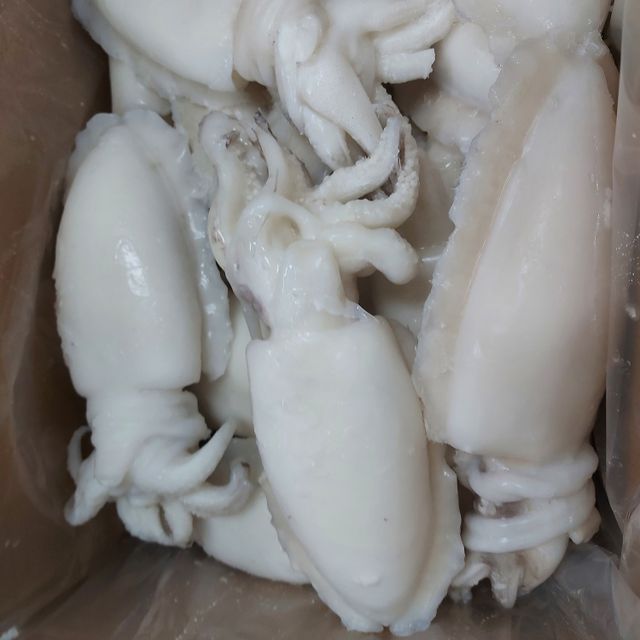 Hot sale frozen baby cuttlefish from Vietnam for sales - Image 4