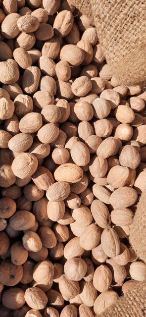 Nutmeg Nutmeg Wholesale Factory Price Dried Nutmeg Spice Premium Quality Huskless/cardamom - Image 3