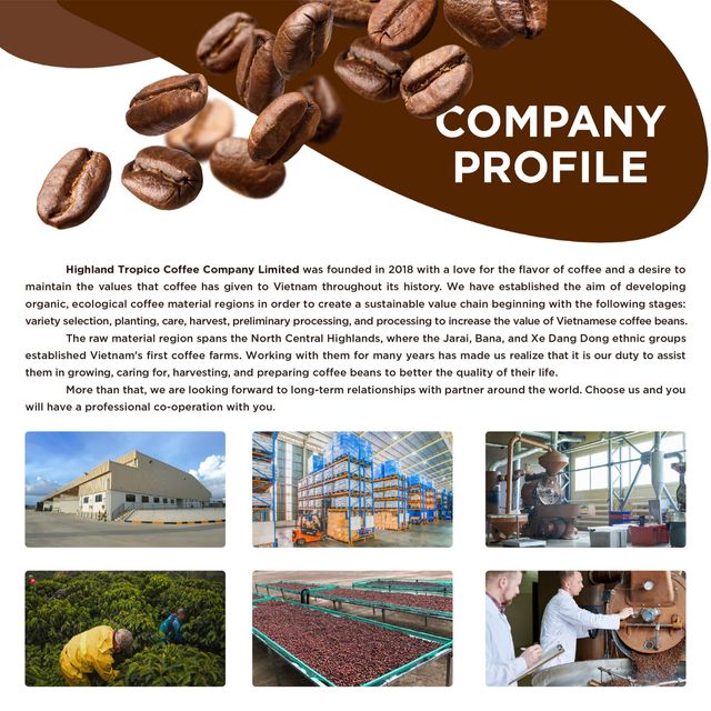 For Sale Organic Robusta Commercial Coffee Roasting Machine Commercial Roasted Coffee OEM Premium Drinkable Made In Vietnamese - Image 4