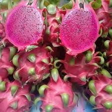 Cheap Price Of Pitaya Fruit Fresh Fruit Tropical Fruit Cool Fresh Dragon Fruit Packing Box In Vietnam - Image 4