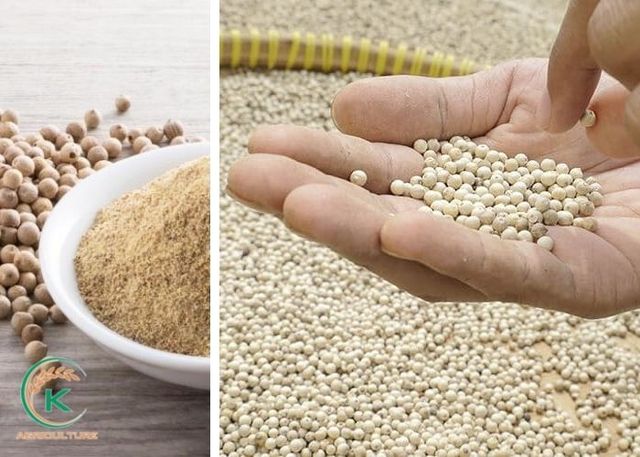 wholesale white pepper 50kg bags pepper black and white good ingredients white pepper powder – product photo 4, product detail gallery