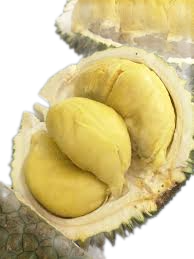 The Best Fresh Durian , Tropical Fruit, Fresh Durian Fruit, Vietnam Export Products, Bangladesh, Turkey, India, China Fresh Duri - Image 3