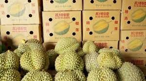 Wholesaler Fresh Durian Monthong Fresh Durians Organic Packed In Box Vietnam Manufacturer, King Durian Frozen Durian - Image 5