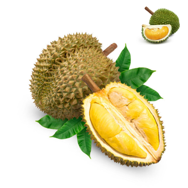 Wholesaler Fresh Durian Monthong Fresh Durians Organic Packed In Box Vietnam Fresh Tropical Fruit Frozen Durian Flesh - Image 1