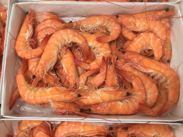 High quality Frozen Cooked Vannamei Shrimp With Nafi Certificate for Eu market - Image 3