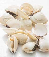 Top sales frozen clam from Vietnam for wholesales Variety N/A Address N/A Content N/A Style FROZEN Color Natural Packaging - Image 4