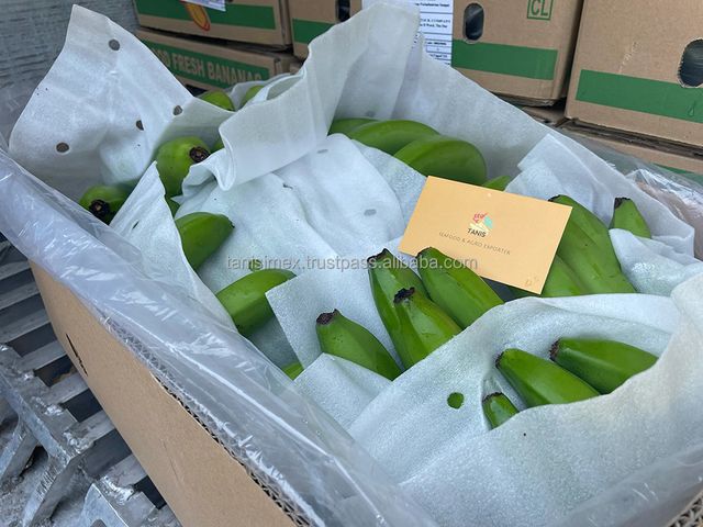 Fresh green cavendish banana from Vietnam at competitive price - Image 4
