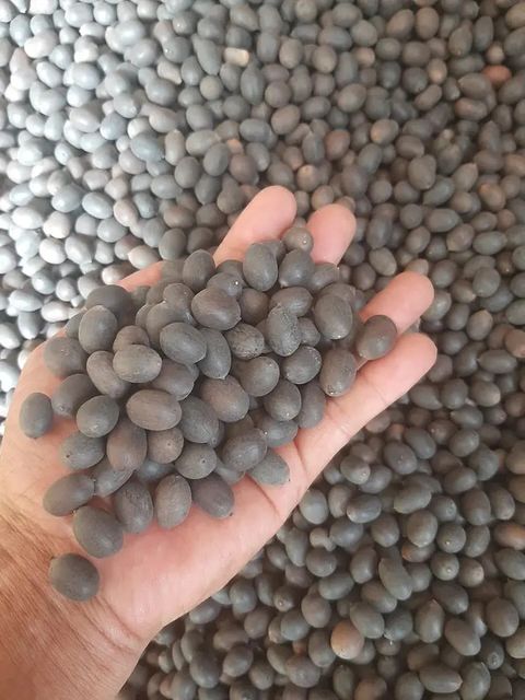 Vietnam lotus seeds pure cheapest prices Shelf Life 2 Model Number 01 Address Vietnam Content lotus seed Ingredients lotus - Image 4