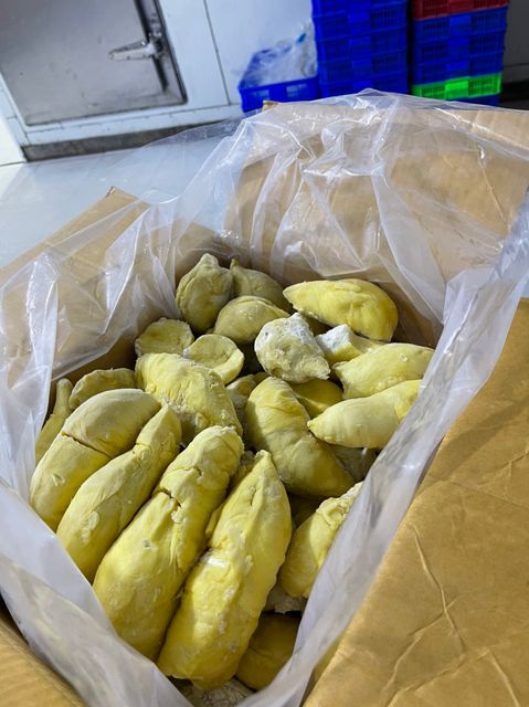 Frozen durian from Vietnam trays packaging frozen tropical durian and other tropical fruits high quality for exporting - Image 3