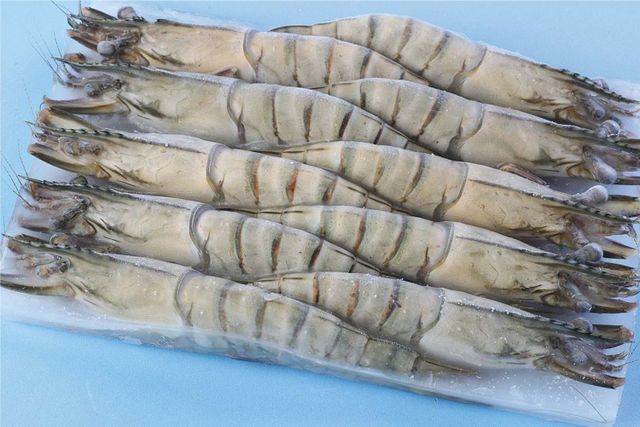 High Quality Frozen Black Tiger Shrimp Variety In Bulk For Importer - Image 2