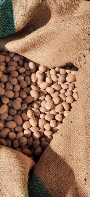 Vietnam Nutmeg Wholesale Factory Price Dried Nutmeg Spice Premium Quality Huskless/cardamom - Image 3