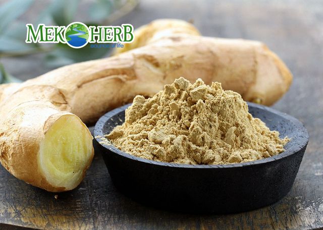 Ginger extract powder/Ginger root extract - Image 2