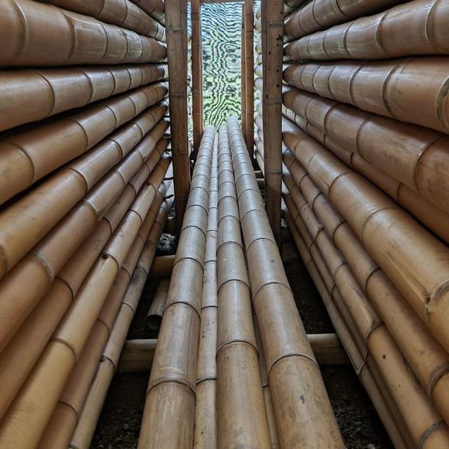 Bamboo Pole Hot Sale Agricultural Cheap Price Bamboo Poles for Indoor Outdoor Decoration - Image 4