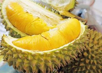 The Best Fresh Durian Ri6, Tropical Fruit, Organic fruits Organic Packed In Box Vietnam Manufacturer - Image 4